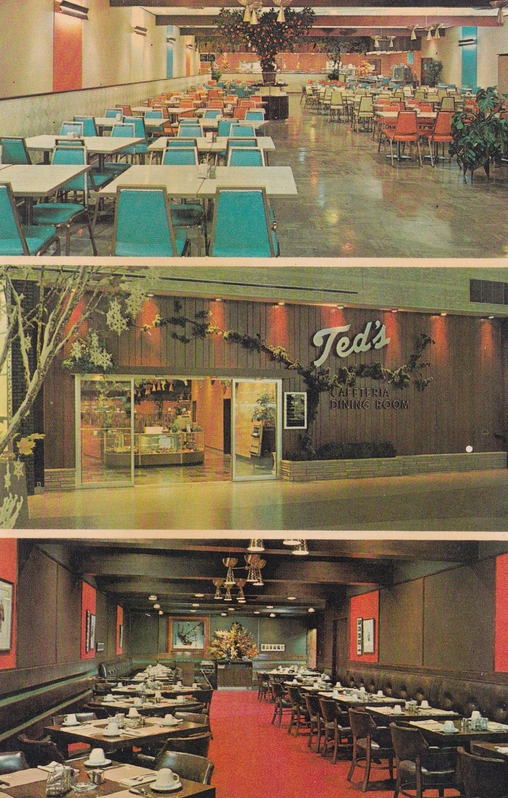 Summit Place Mall (Pontiac Mall) - There Was A Teds Inside The Mall